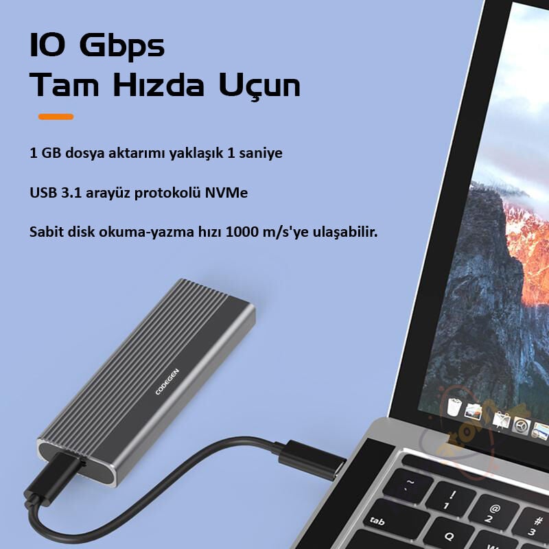 CODEGEN Type C USB 3.1 NVME M2 SSD 10Gbps Alüminyum Disk Kutusu (CDG-SSD-40BC)
