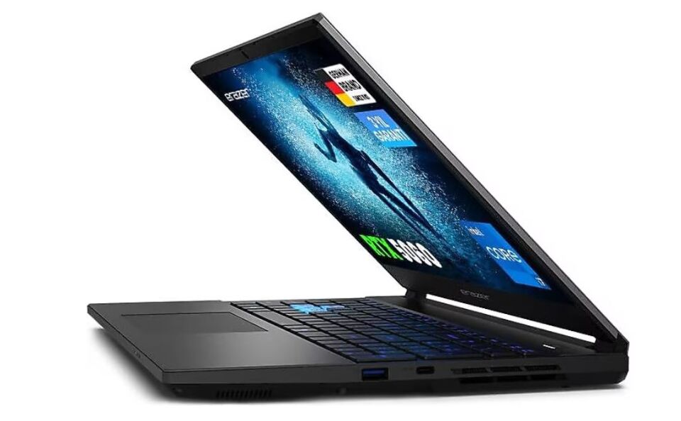 ERAZER 15.6'' CORE i7 13620H-16GB DDR5 RAM-1TB NVME-8GB RTX5060-FDOS / DEPUTY 15 P1 MD600004