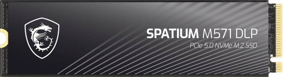 MSI 2TB SPATIUM M571 DLP 14500-11000 M2 NVME GEN5 Disk