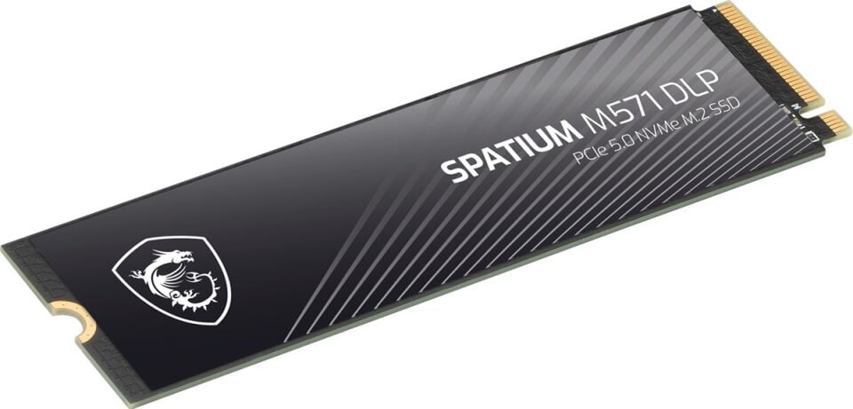 MSI 2TB SPATIUM M571 DLP 14500-11000 M2 NVME GEN5 Disk