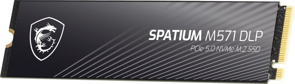 MSI 2TB SPATIUM M571 DLP 14500-11000 M2 NVME GEN5 Disk